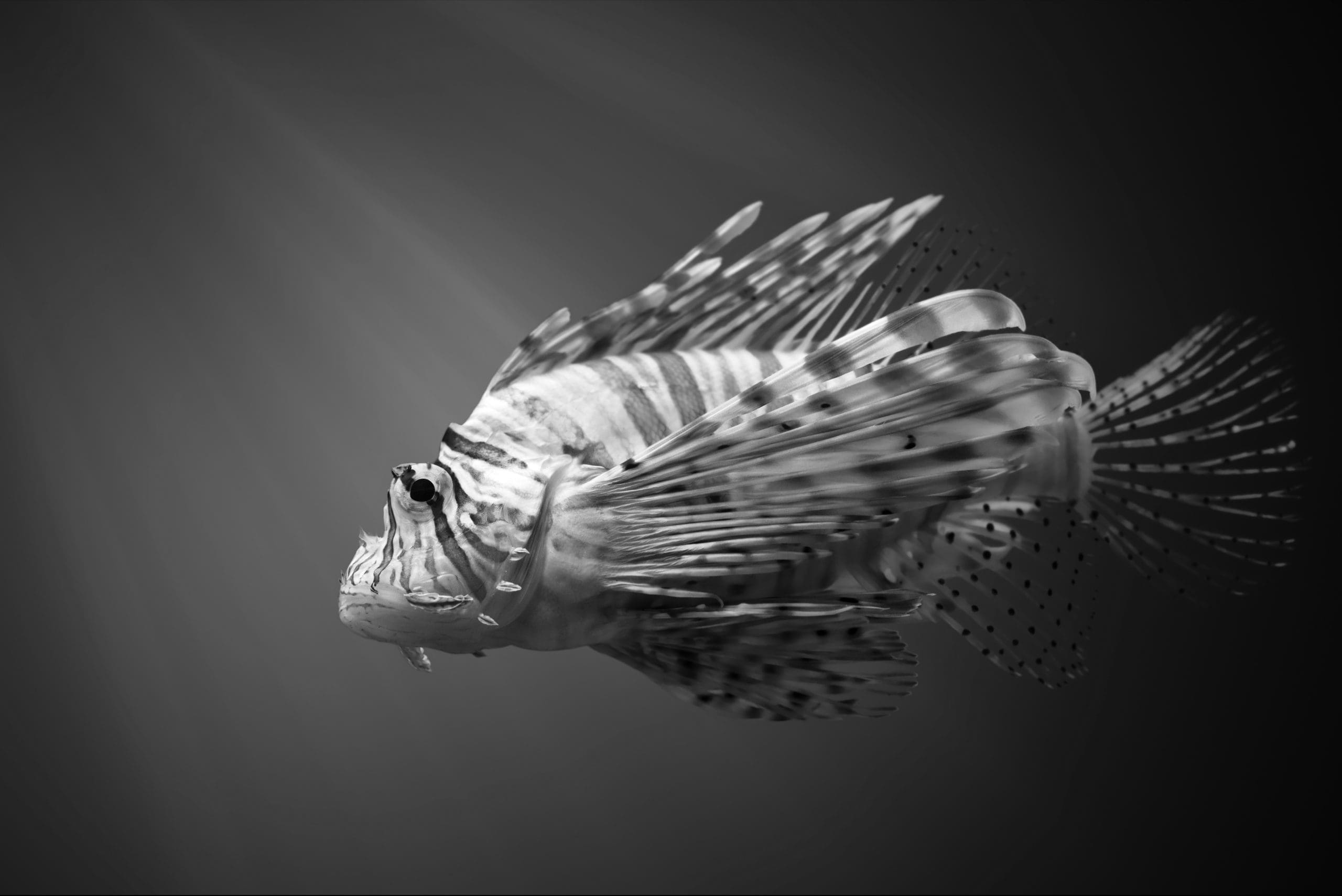 London Stock Exchange approved as first PISCES operator